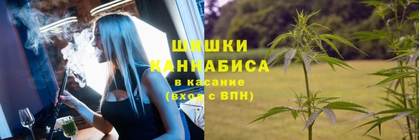 спайс Баксан